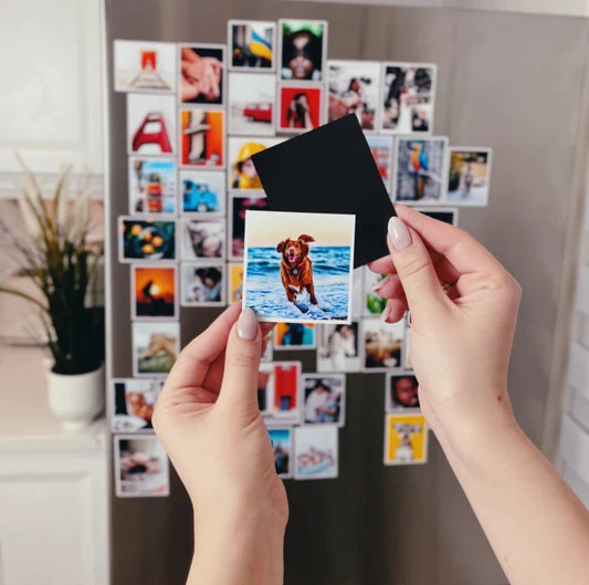 10 Custom Photo Magnets